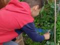IMG_20210705_105735_1-Copier