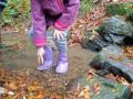 IMG_20211020_113156_1-Copier