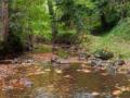 IMG_20211020_113603-Copier
