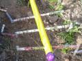 IMG_20210528_185011_1-Copier