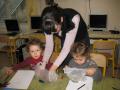 IMG_3726 (Copier)