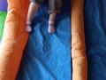 IMG_20210705_103054_2-Copier