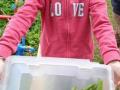 IMG_20210705_110908-Copier