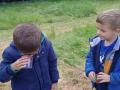 IMG_20210510_142241_1-Copier