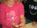 IMG_3707 (Copier)