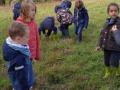 IMG_20211020_120341_1-Copier